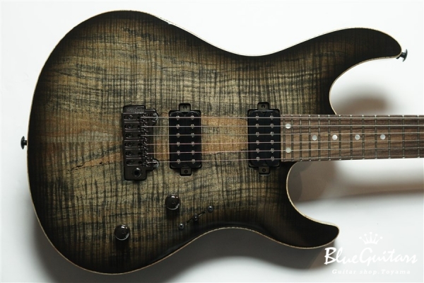 FUTURA-S HH LTD / Alder Back Spalted Maple Top Body - Transparent Black